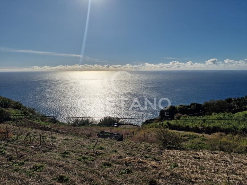 Helårsgrund i Ponta do Sol, Madeira - foto 2