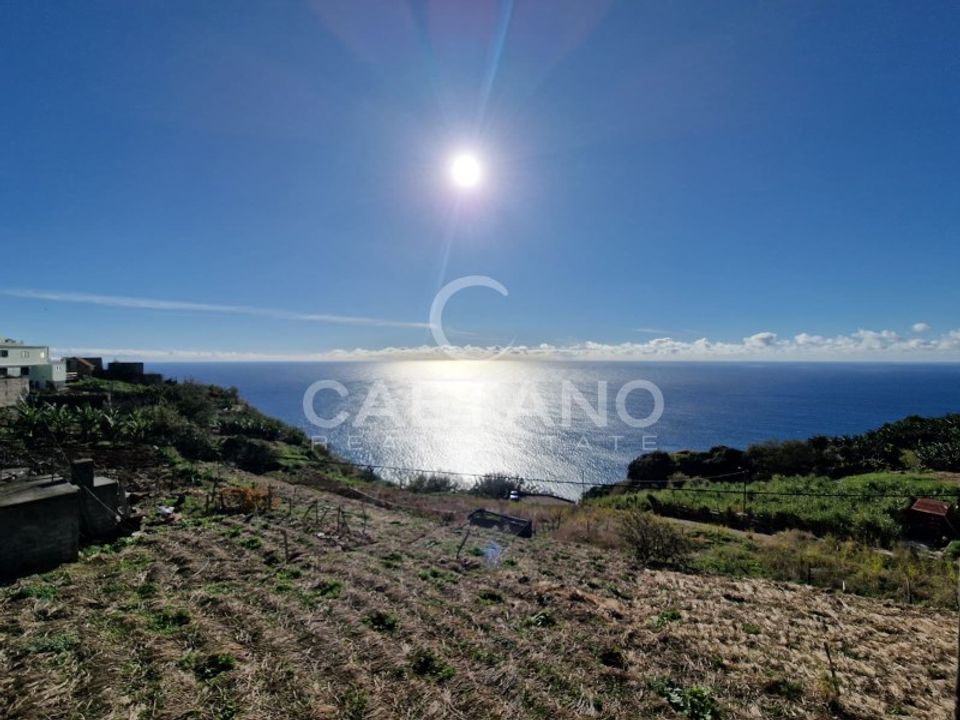 Helårsgrund i Ponta do Sol, Madeira - foto 4