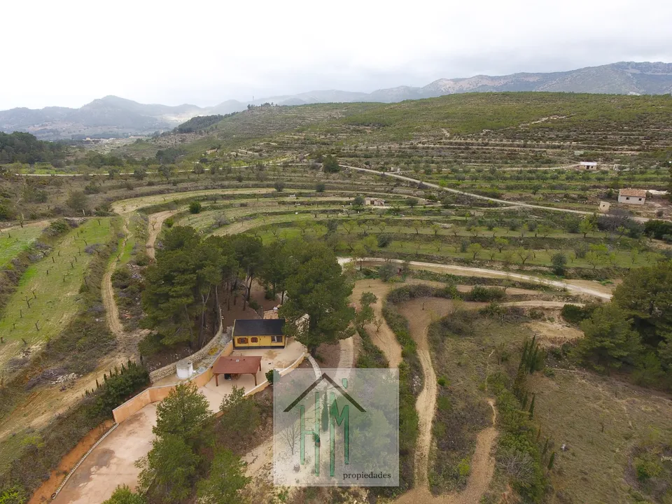 Træhytte i Torremanzanas, Alicante - foto 3