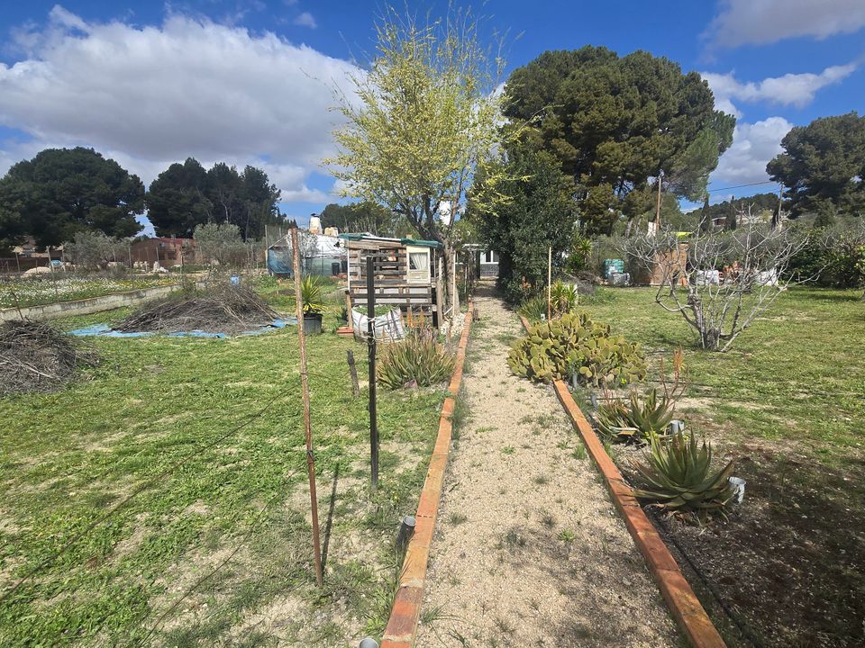 Landejendom i Sax, Alicante - foto 4