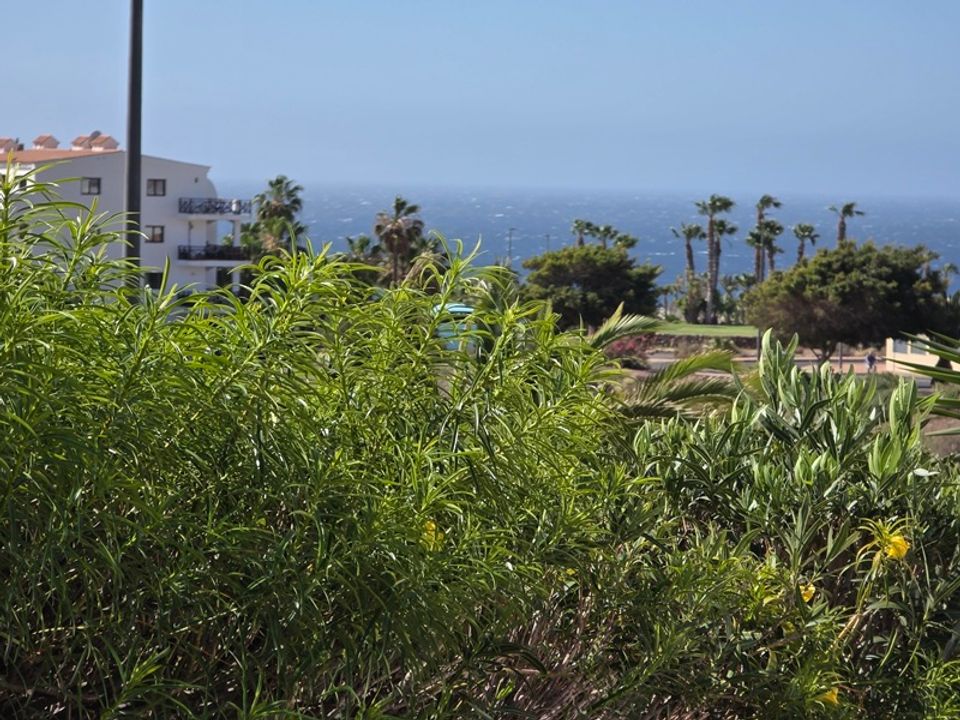 Lejlighed i Amarilla Golf, Tenerife - foto 2