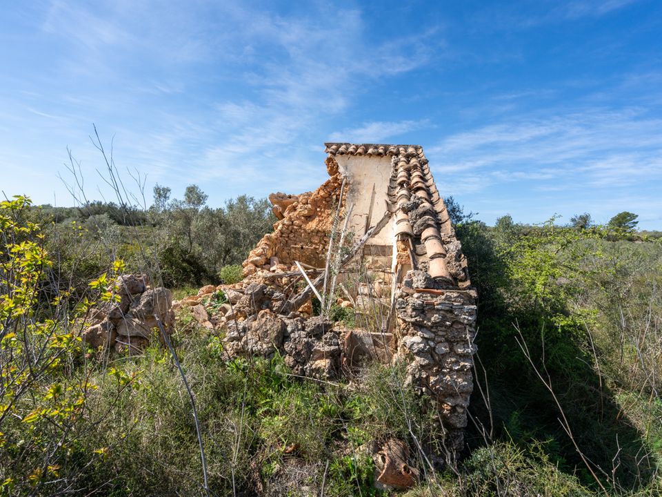 Finca i Ulldecona, Tarragona - bilde 3