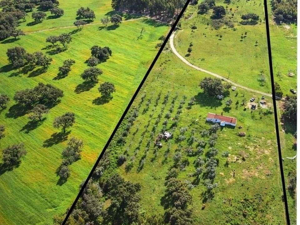 Farm hus i Sao Domingos e Vale de Agua, Setubal - foto 3