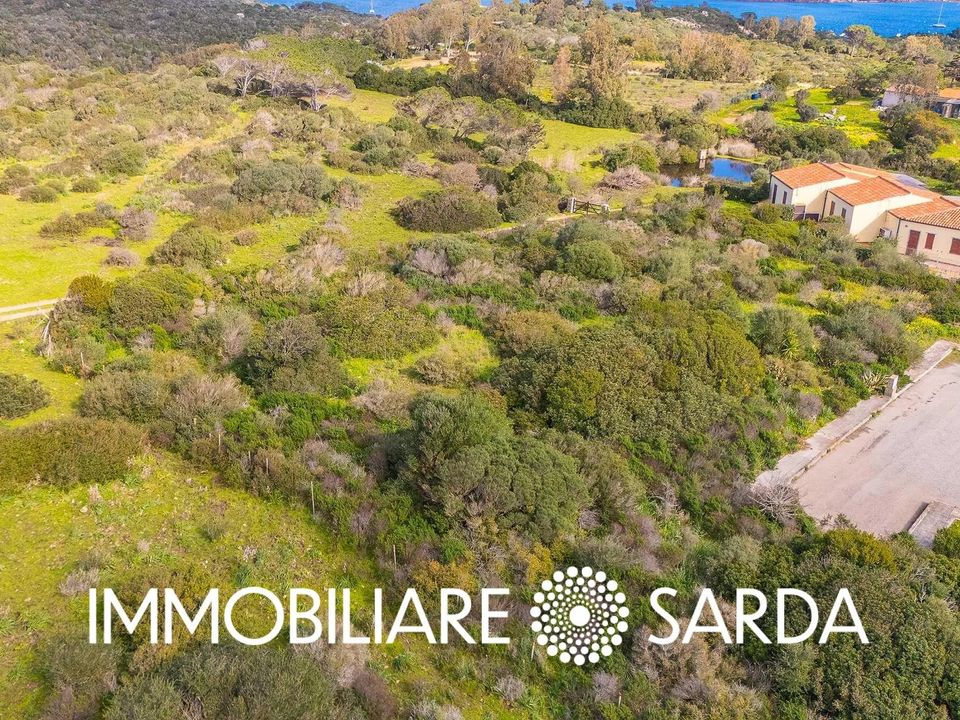 Helårsgrund i Santa Teresa Gallura, Olbia Tempio - foto 3