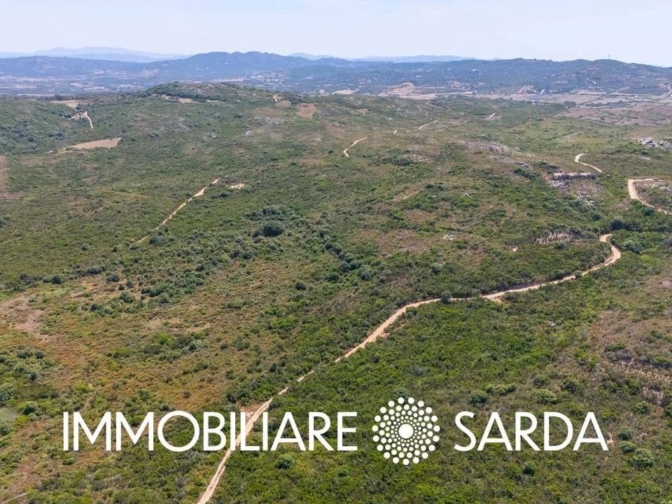 Helårsgrund i Santa Teresa Gallura, Olbia Tempio - foto 4