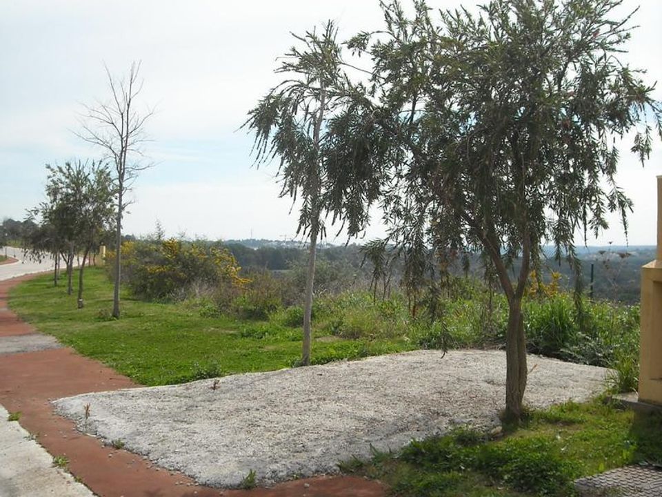 Helårsgrund i Sotogrande, Cadiz - foto 4