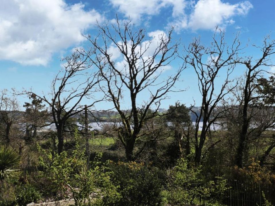 Villa i Arzal, Morbihan - foto 3
