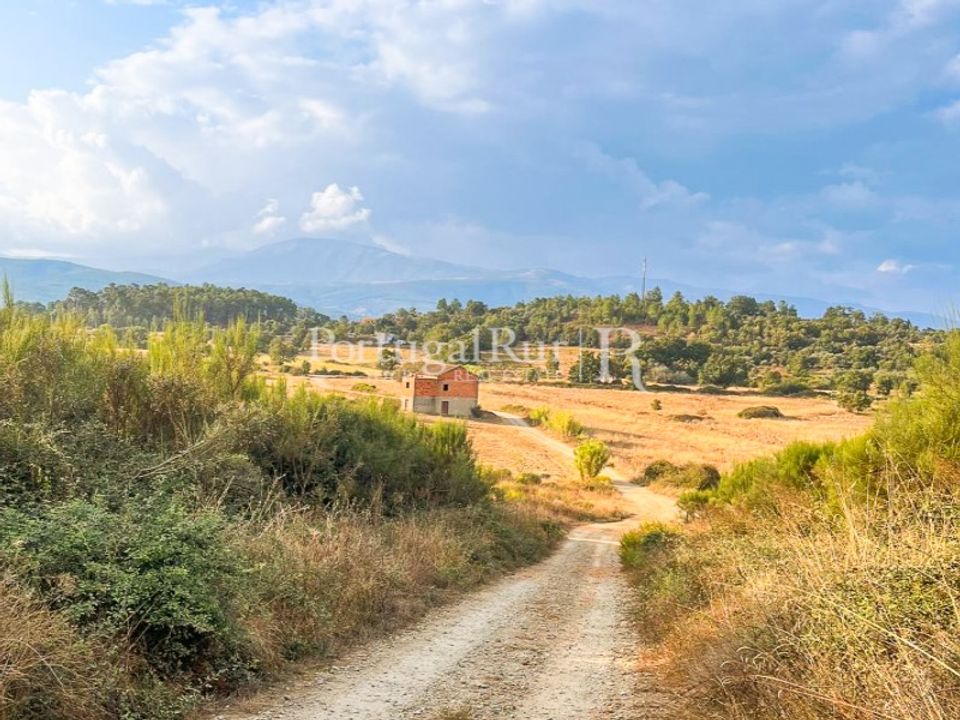Helårsgrund i Fundao, Castelo Branco - foto 4