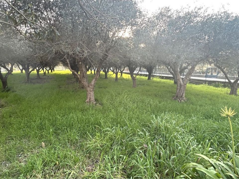 Lejlighed i Sarzana, La Spezia - foto 3