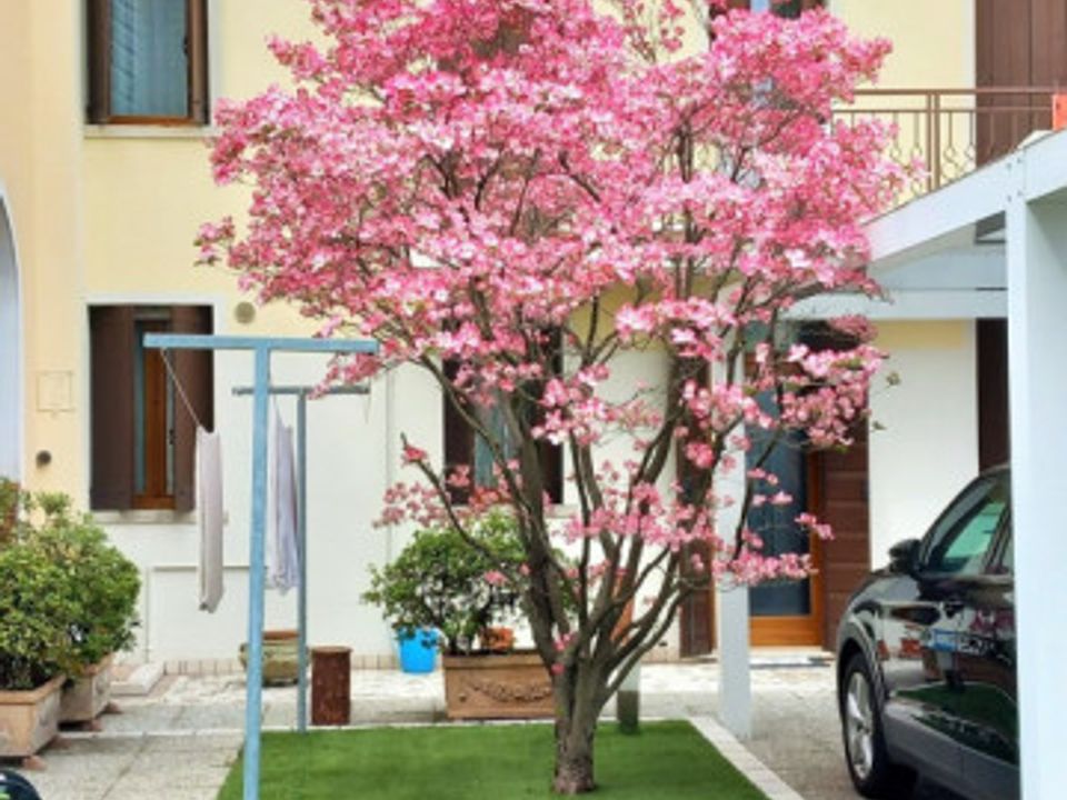 Rækkehus i Castelfranco Veneto, Treviso - foto 4