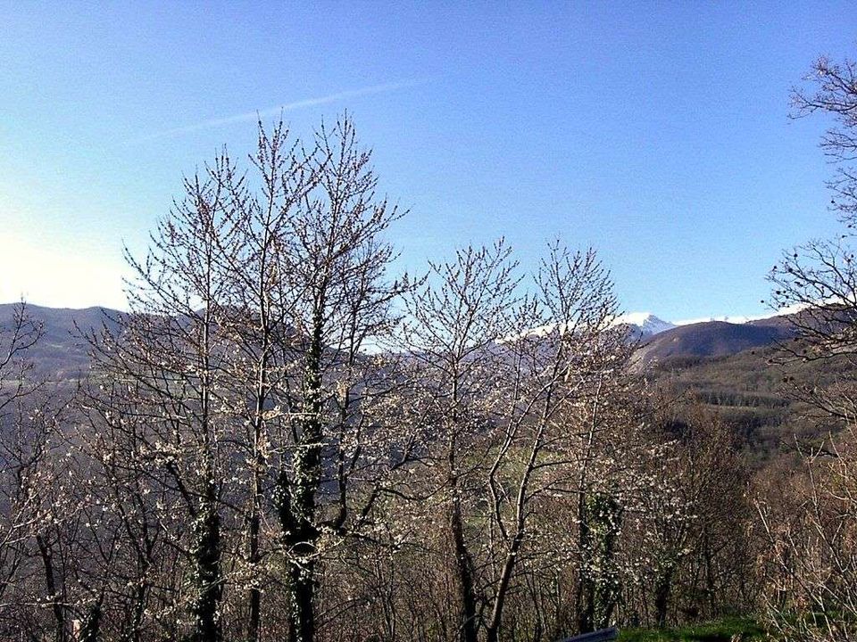 Villa i Villa Minozzo, Reggio Emilia - foto 3