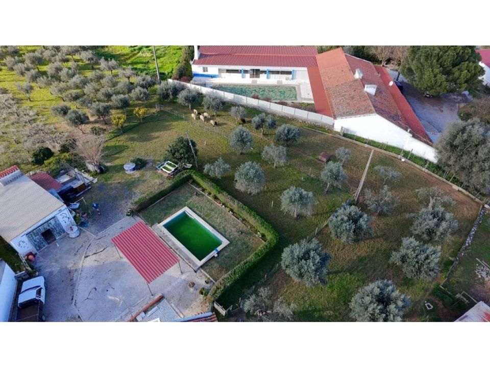Farm i Borba, Evora - foto 5