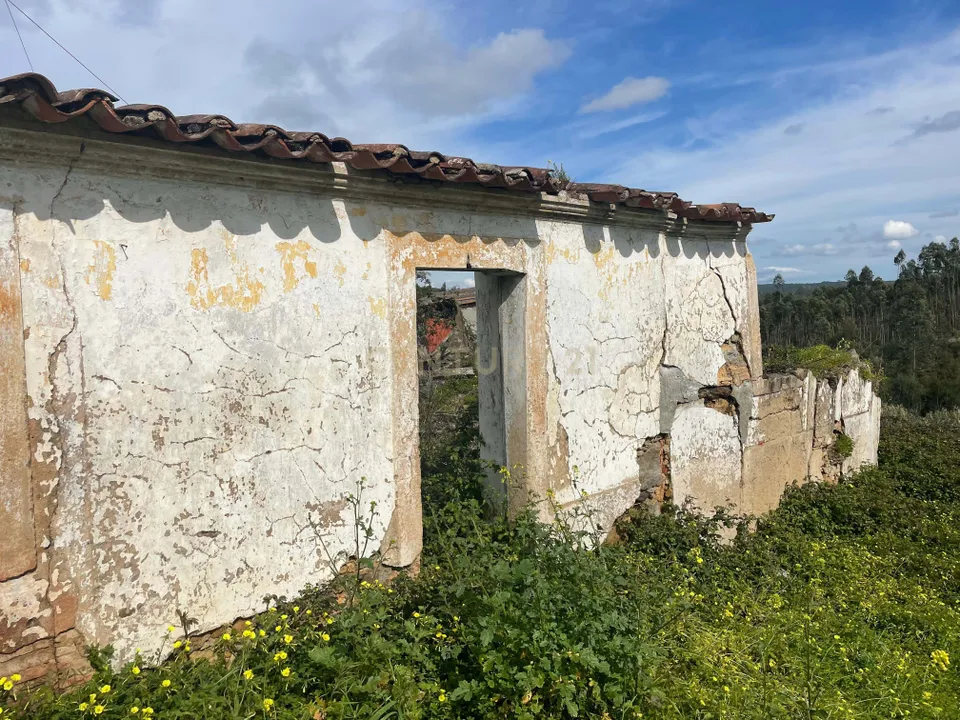 Villa i Carvalhal, Santarem - foto 3