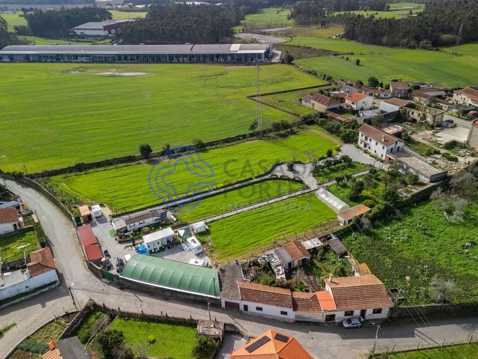 Farm i Vila do Conde, Porto - foto 4