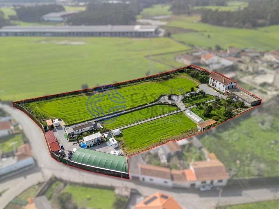 Farm i Vila do Conde, Porto - foto 5