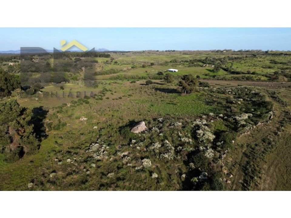 Helårsgrund i Idanha-a-Nova, Castelo Branco - foto 4