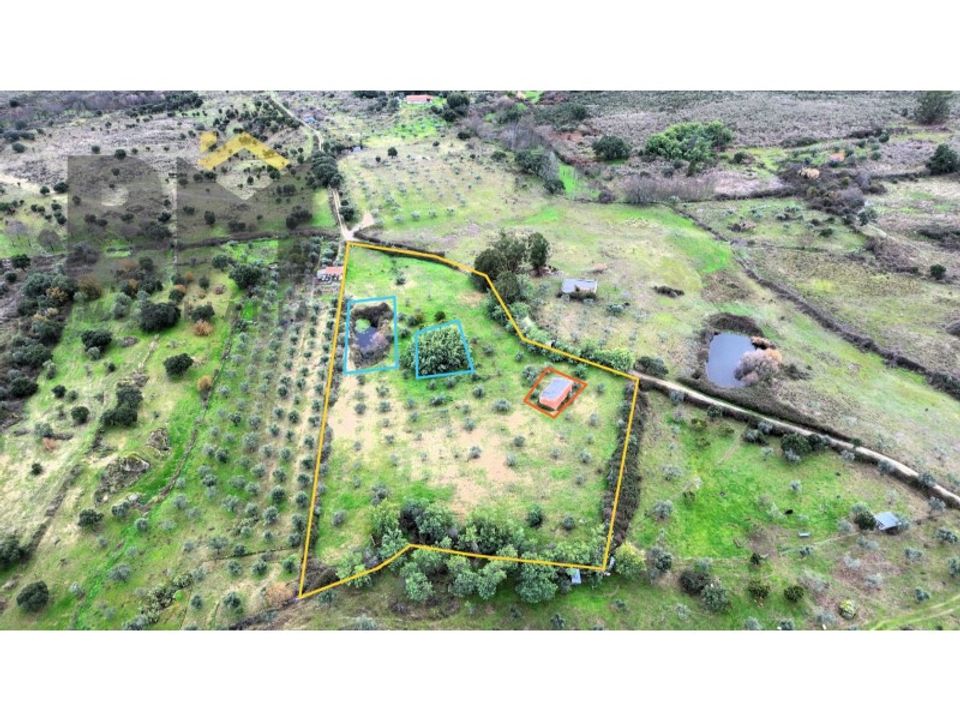 Farm i Idanha-a-Nova, Castelo Branco - foto 1