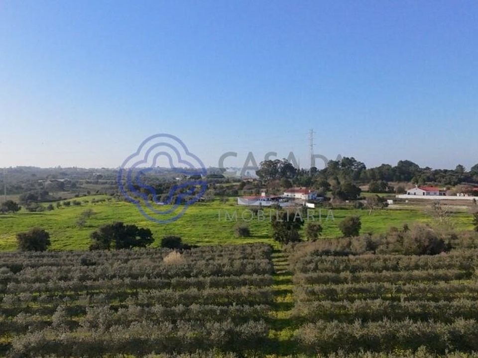 Helårsgrund i Cartaxo, Santarem - foto 1