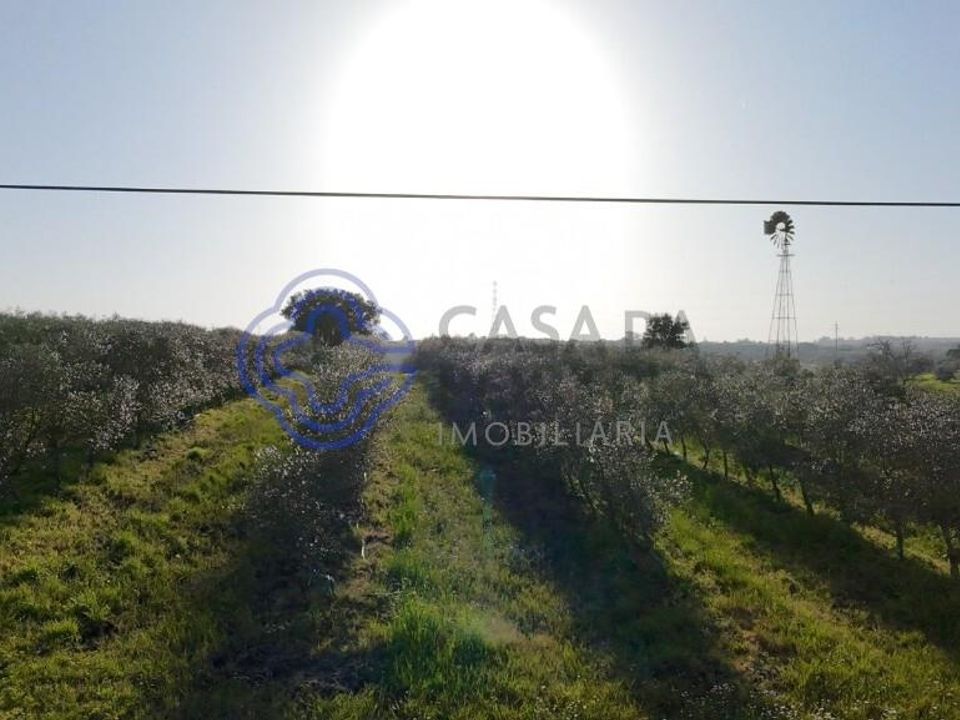 Helårsgrund i Cartaxo, Santarem - foto 2