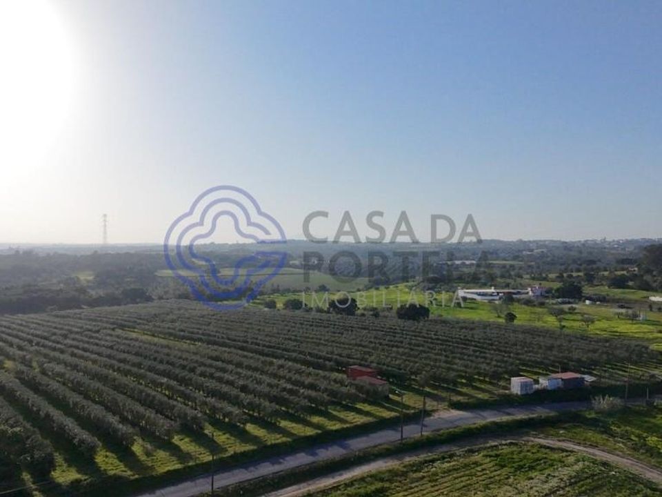 Helårsgrund i Cartaxo, Santarem - foto 3
