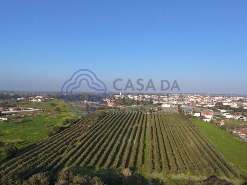 Helårsgrund i Cartaxo, Santarem - foto 4