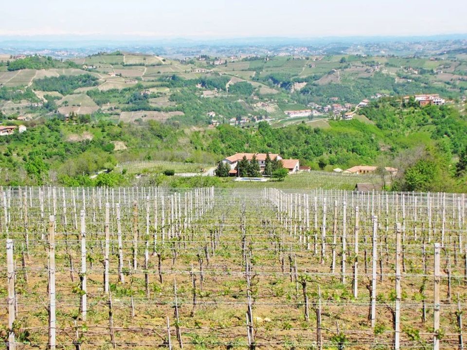 Villa i Canelli, Asti - foto 5