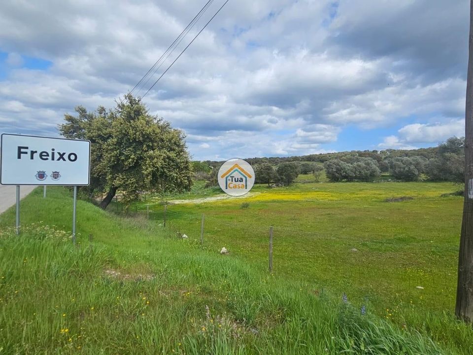 Terra a Redondo, Evora - foto 1
