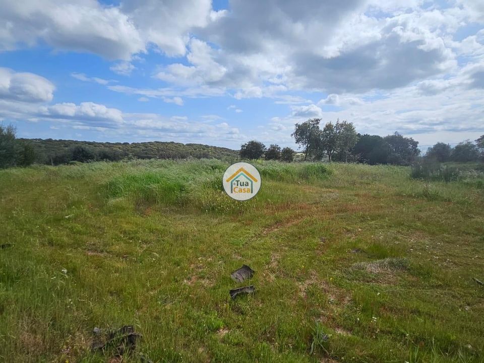 Terra a Redondo, Evora - foto 5