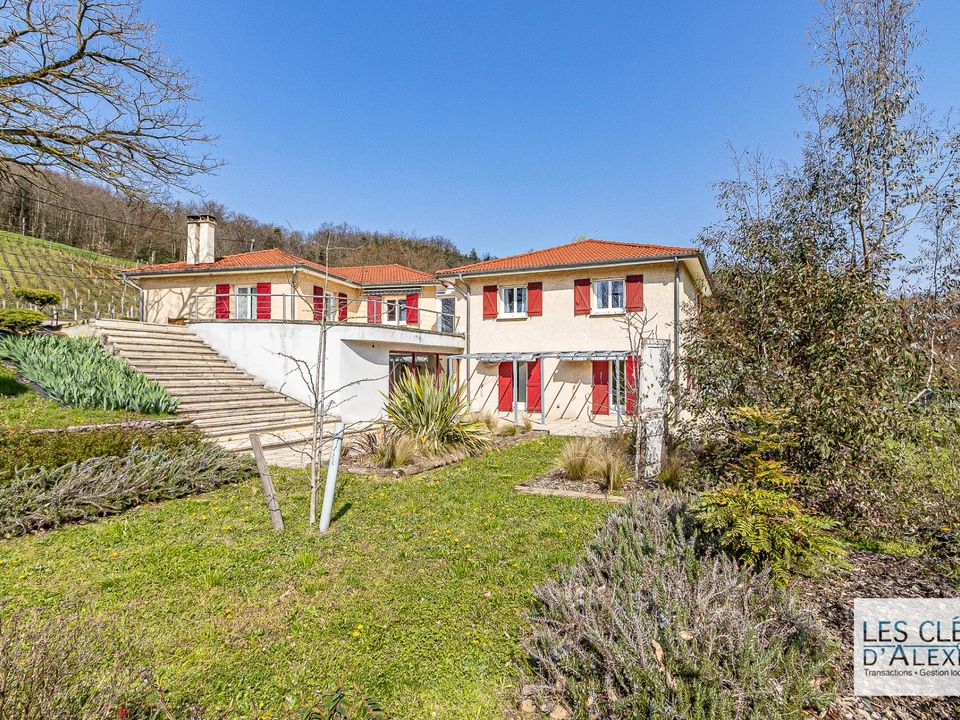 Villa i Saint-Romain-en-Gal, Rhone - foto 1