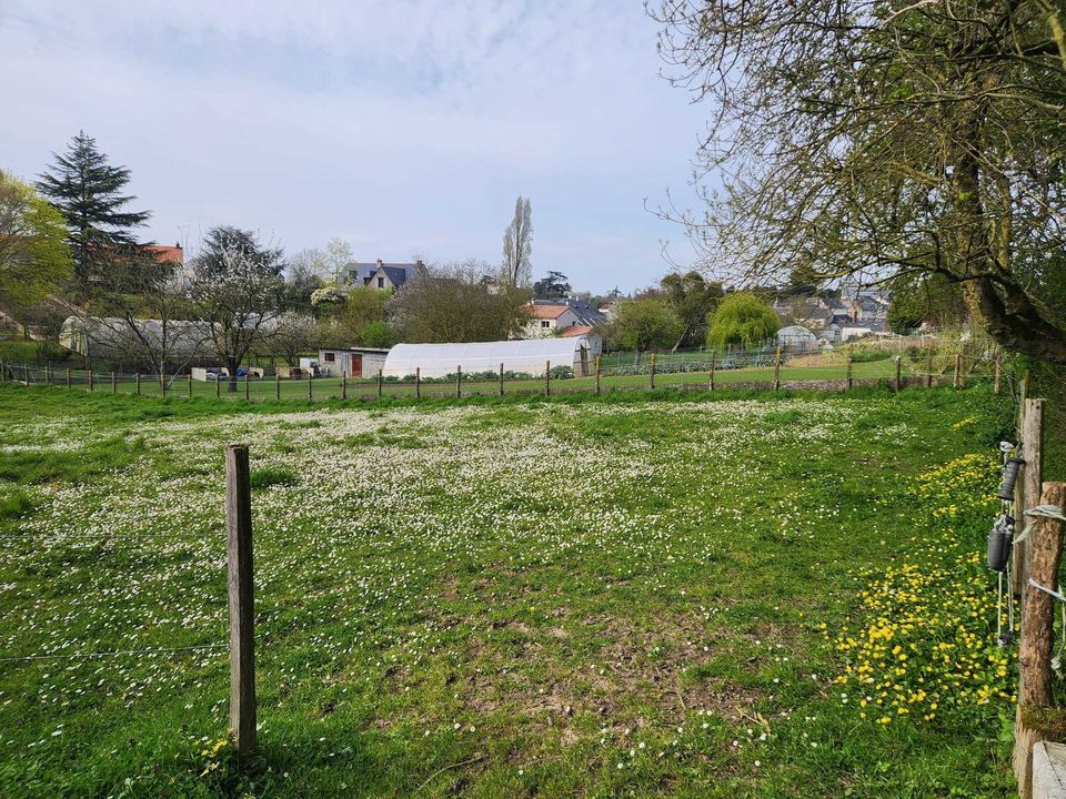 Helårsgrund i La Pommeraye, Maine-et-Loire - foto 4