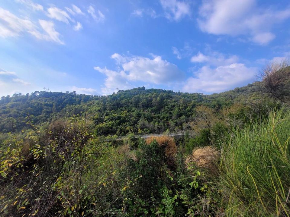 Villa i Touet-de-l'Escarene, Alpes-Maritimes - foto 2