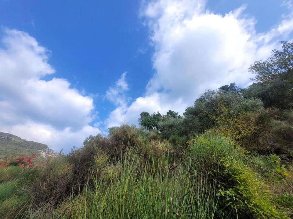 Villa i Touet-de-l'Escarene, Alpes-Maritimes - foto 4