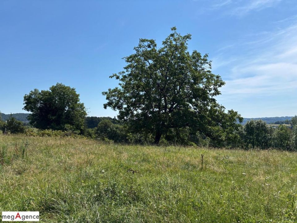 Helårsgrund i Saint-Hilaire-Peyroux, Correze - foto 3
