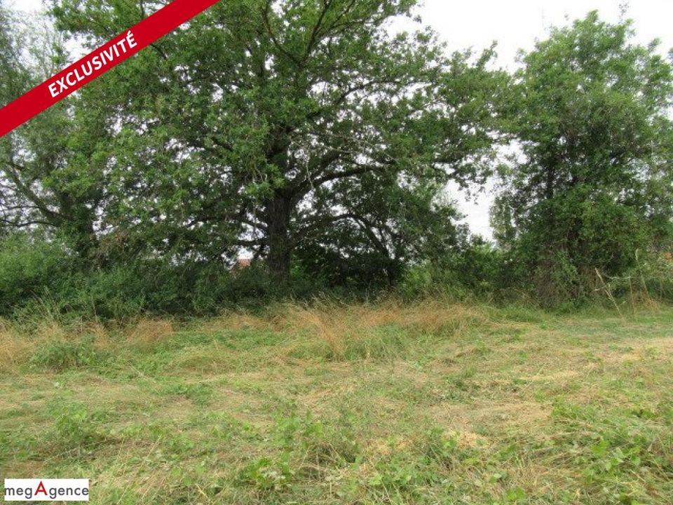 Helårsgrund i Vendat, Allier - foto 3