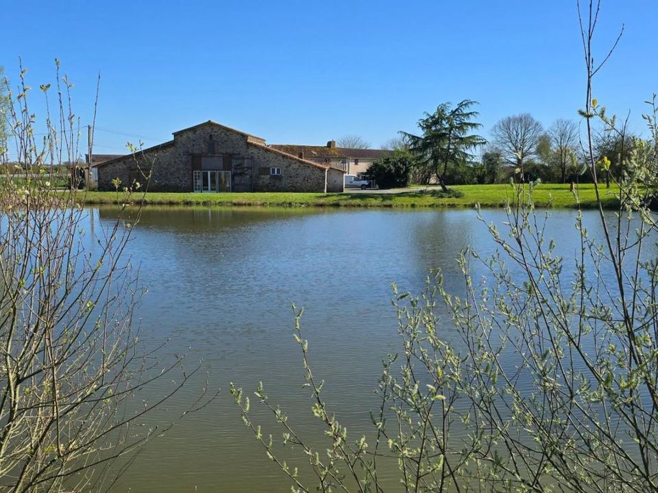 Villa i Chavagnes-en-Paillers, Vendee - foto 2