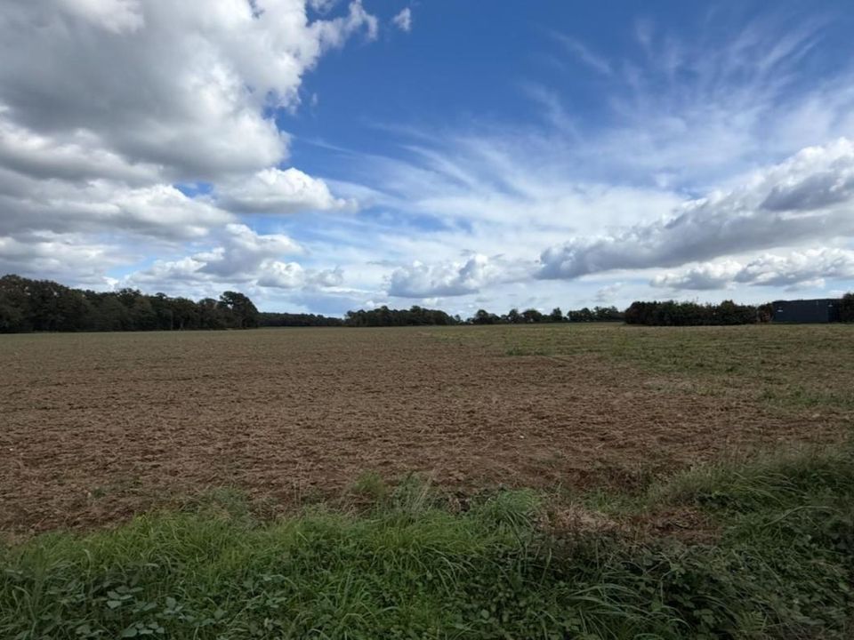 Tomt i Molac, Morbihan - bilde 5