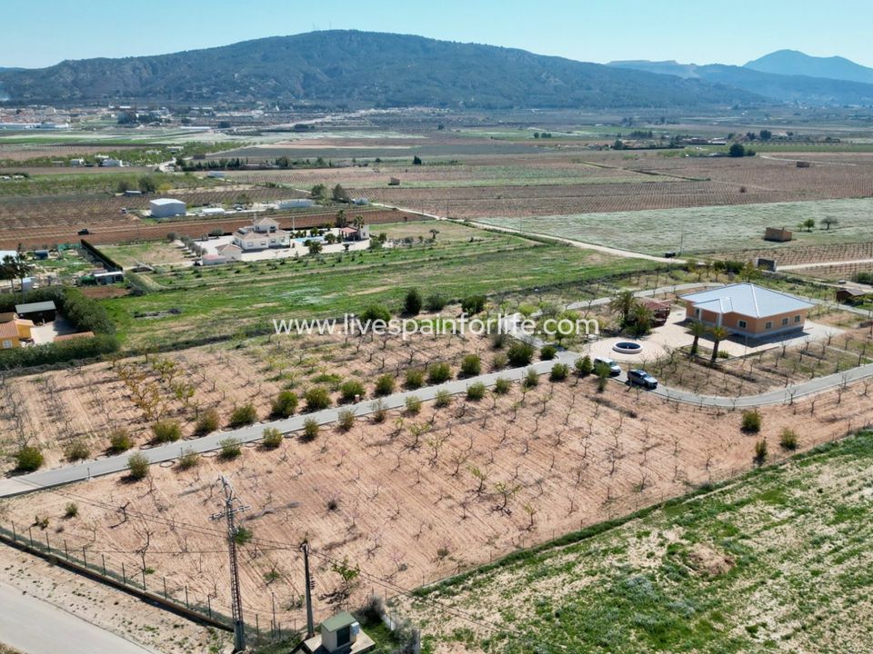 Landejendom i Pinoso, Alicante - foto 5