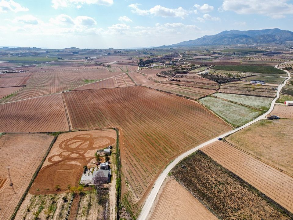 Helårsgrund i Pinoso, Alicante - foto 1