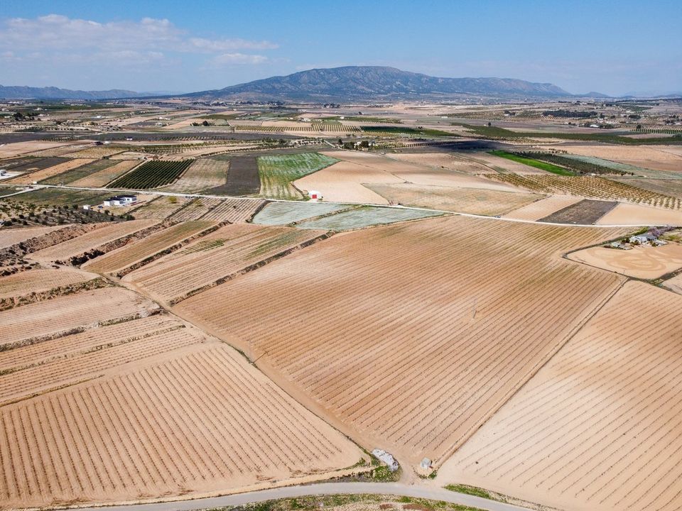 Helårsgrund i Pinoso, Alicante - foto 4