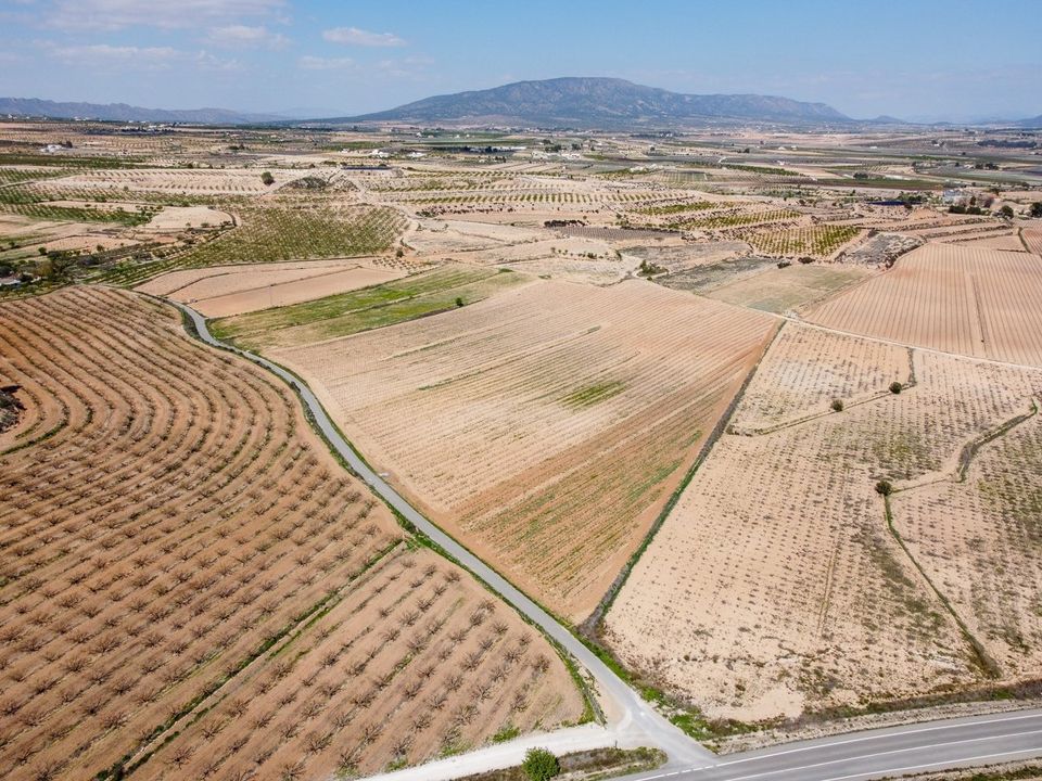 Helårsgrund i Pinoso, Alicante - foto 3