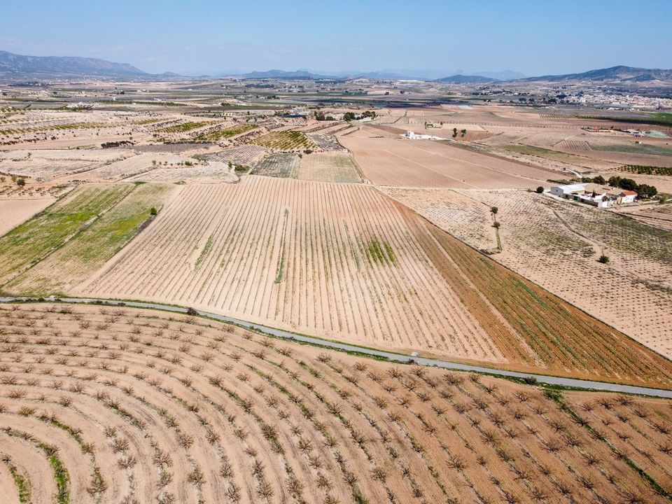 Helårsgrund i Pinoso, Alicante - foto 4