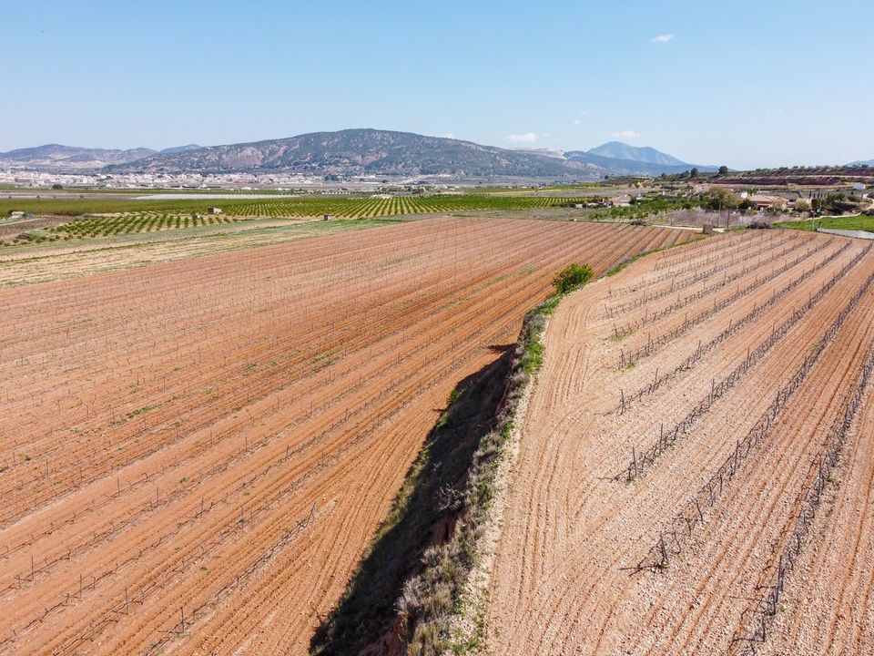Helårsgrund i Pinoso, Alicante - foto 2