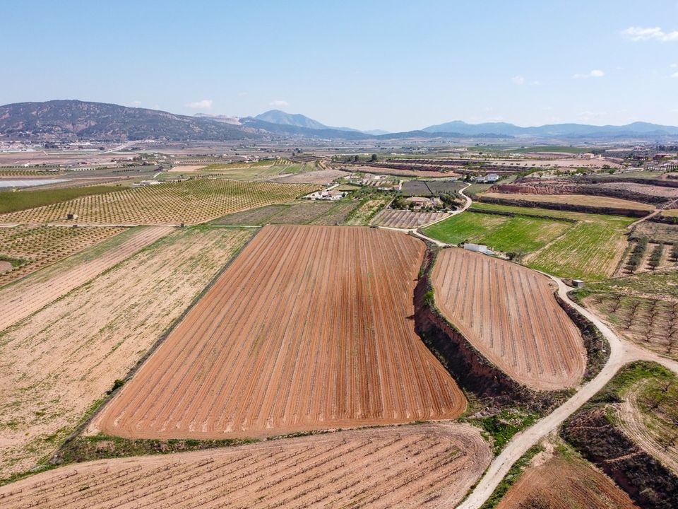 Helårsgrund i Pinoso, Alicante - foto 3