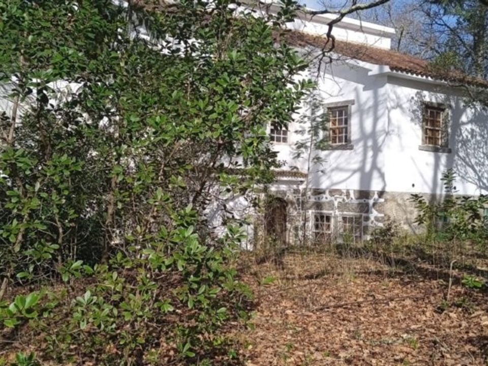 Farm i Santa Comba Dao, Viseu - foto 4