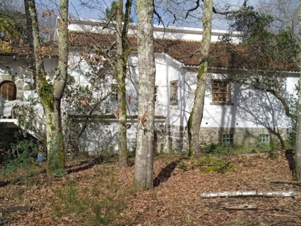 Farm i Santa Comba Dao, Viseu - foto 5