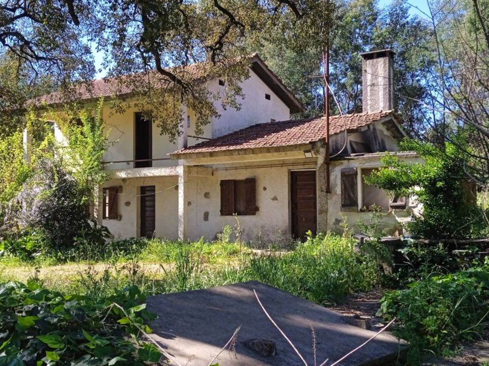 Farm i Santa Comba Dao, Viseu - foto 2