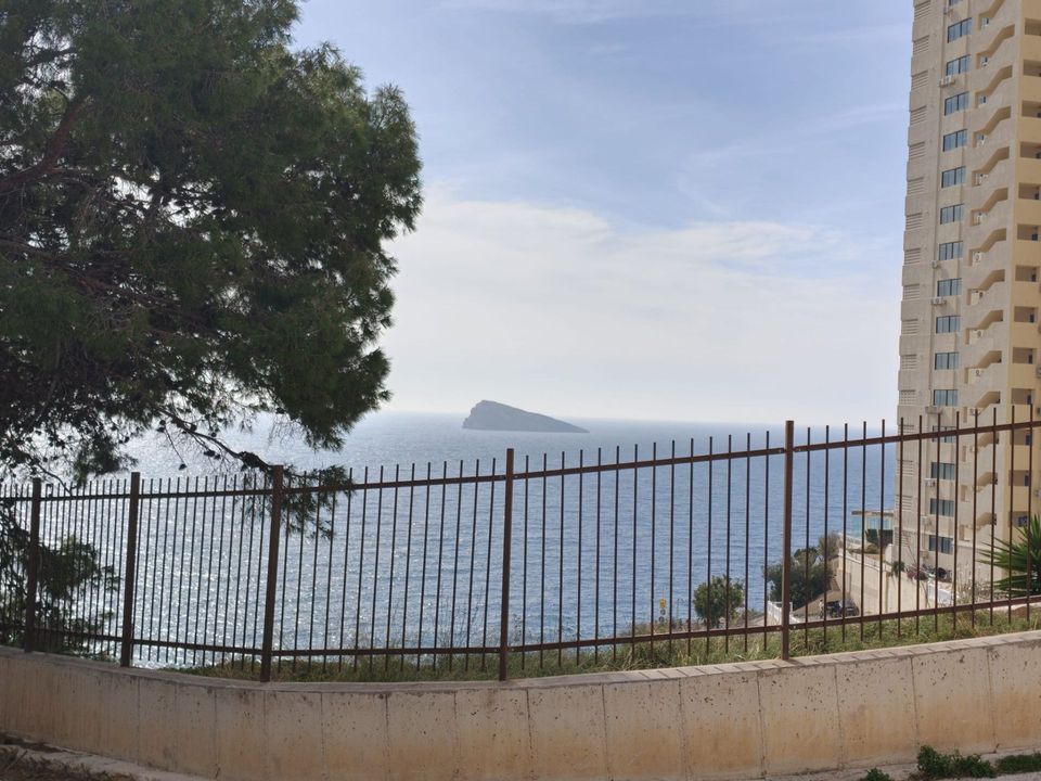Commercial property in Benidorm, Alicante - photo 3