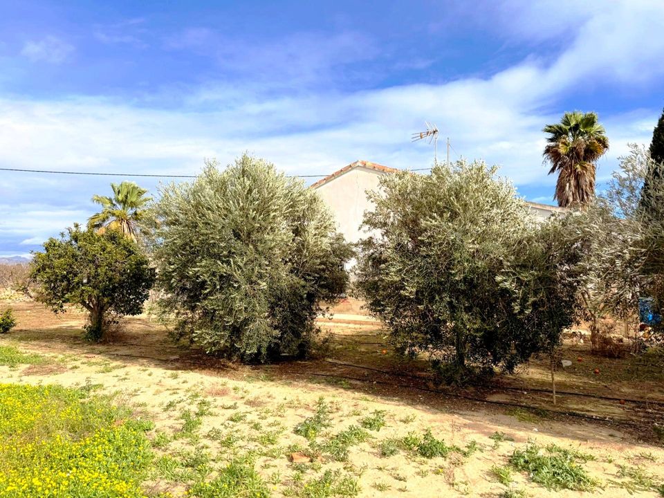 Villa i Las Bayas, Alicante - foto 4