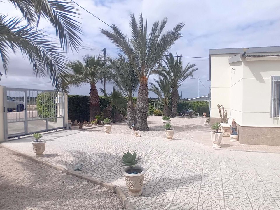 Villa i Elche, Alicante - foto 3