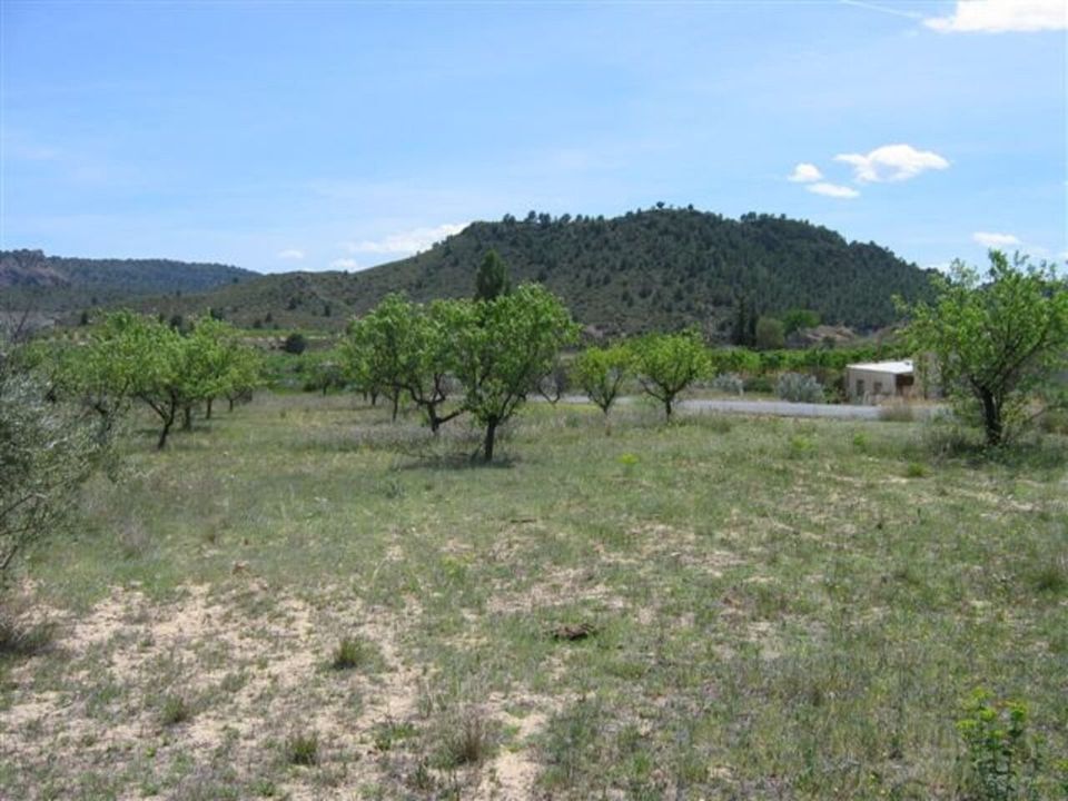 Helårsgrund i Calasparra, Murcia - foto 1